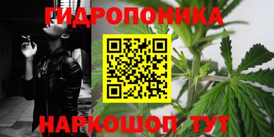 mdpv Боровичи