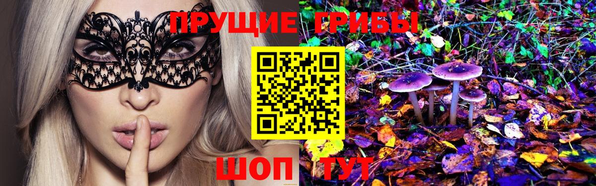 Галлюциногенные грибы GOLDEN TEACHER  Галлюциногенные грибы Psilocybine cubensis  Вход с VPN  Артёмовский 